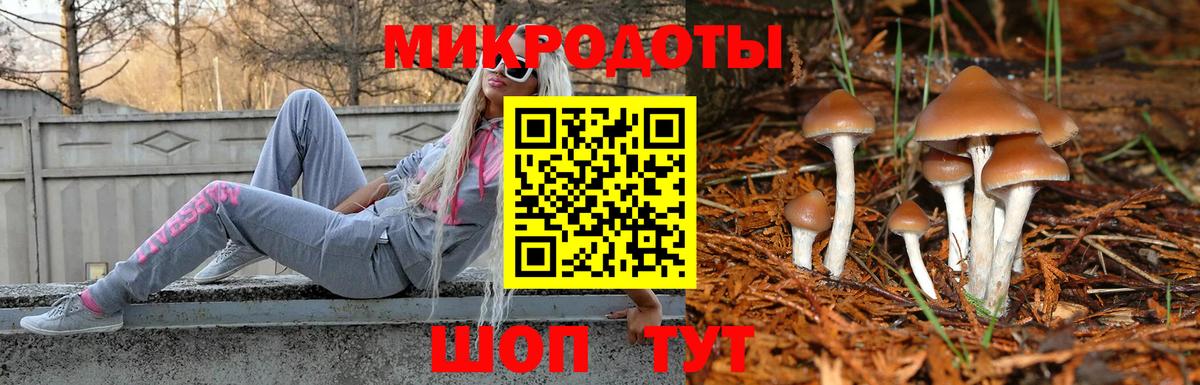 Тихвин  Псилоцибиновые грибы Cubensis  наркота  Вход с VPN 