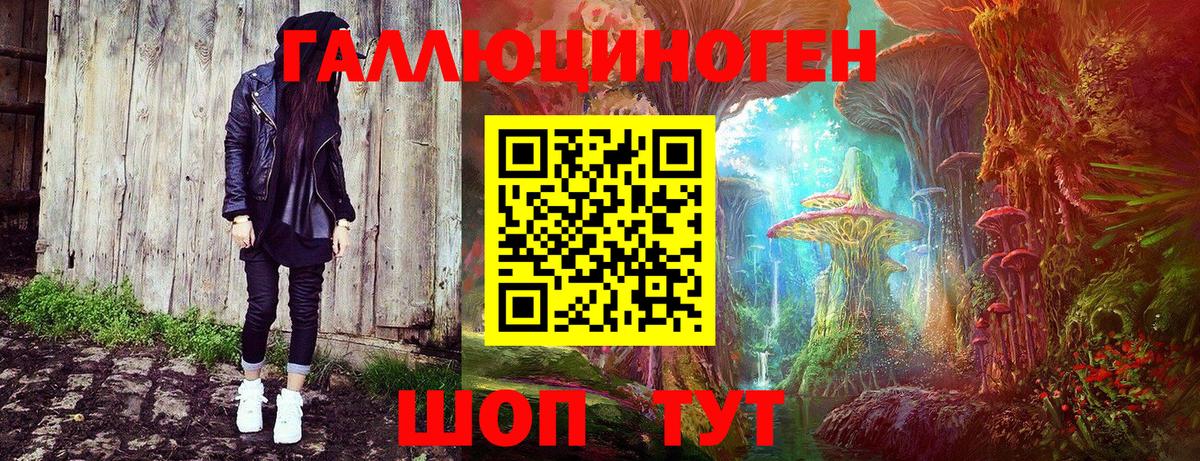 Псилоцибиновые грибы Psilocybine cubensis Тихвин